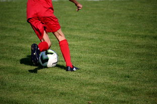 爱游戏体育入口-中国篮球教练员战术执行能力评估体系,中国篮球教练员培训等级